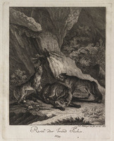 KG 01077
          <br/>
          Entwurf einiger Thiere. Fünfter Theil. (18 bladen)
          <br/>
          <em>Ridinger, Johann Elias (1698-1767)</em>